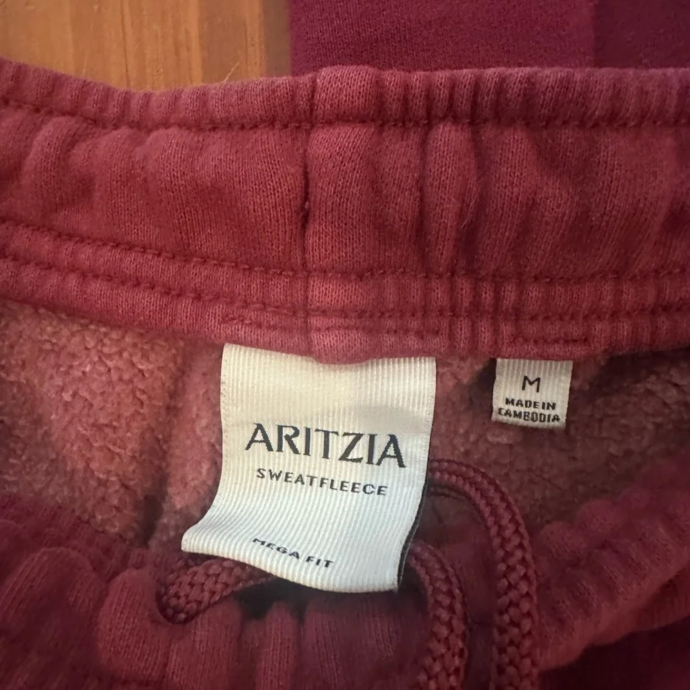 Aritzia Sweatfleece Joggers in Wine Red - Picture 4 of 4